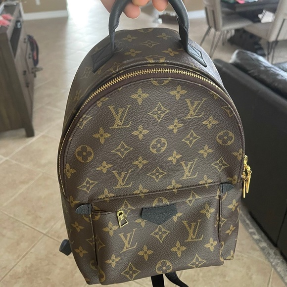 Louis Vuitton Palm Springs PM backpack - Picture 1 of 10